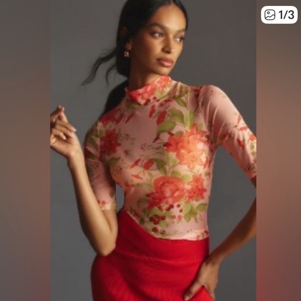 Anthropologie Red and Green Floral Mesh Top